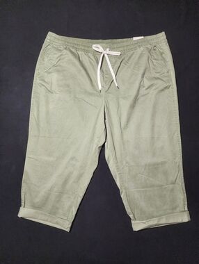 Lane Bryant Pull On Ankle Pant Work Casual